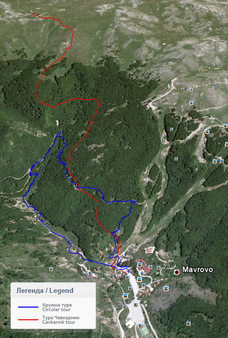 Walking tours map